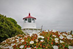 Sometimes you hike to amazing sights and sometimes you regret not reading the map correctly... Like at Trinidad Head Lighthouse. 2traveldads.com