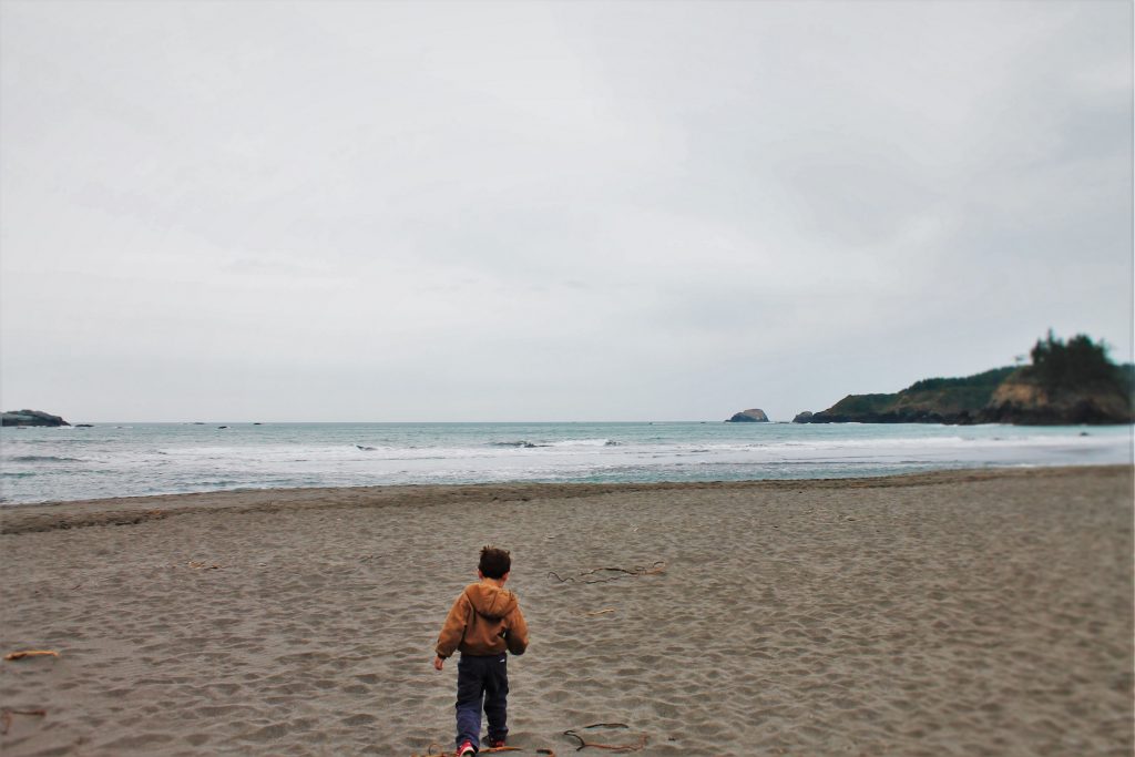 LittleMan at Trinidad Head beach