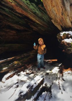 Little Man in hollow tree in Giant Forest in Sequoia National Park 2traveldads.com