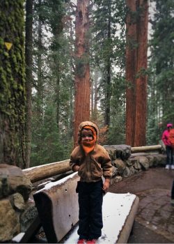 LittleMan and Giant Sequoias at General Sherman tree in Sequoia National Park 2traveldads.com