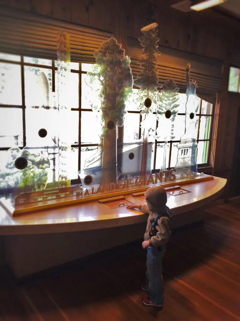 LittleMan and Sequoia exhibits in museum at in Giant Forest in Sequoia National Park 1