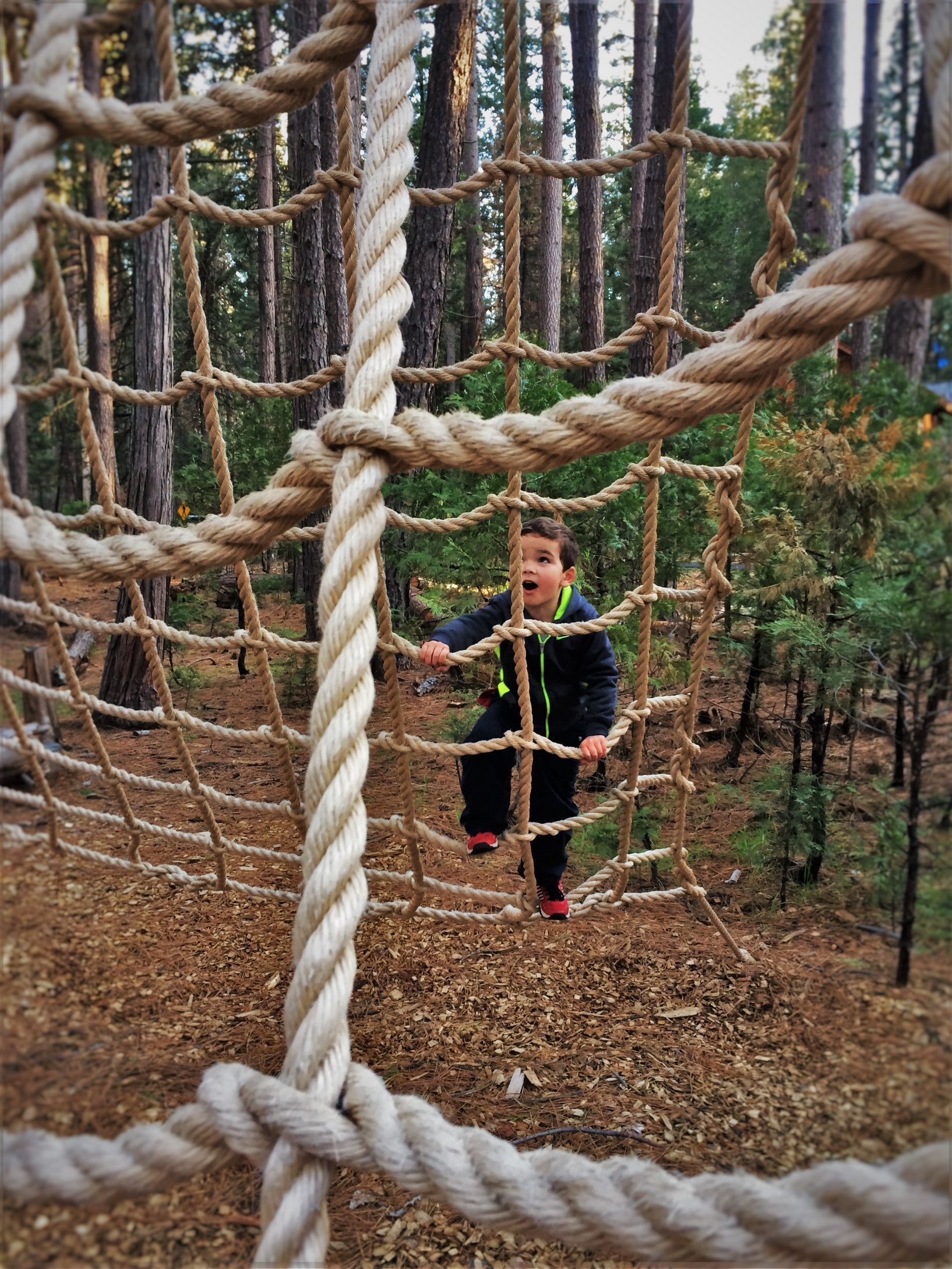 LittleMan-doing-ropes-course-at-Evergreen-Lodge-at-Yosemite-National-Park-1.jpg