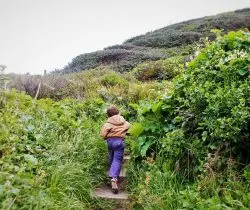 LittleMan hiking at Trinidad Head California 2traveldads.com