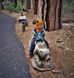 LittleMan riding carved bear at Evergreen Lodge at Yosemite National Park 1