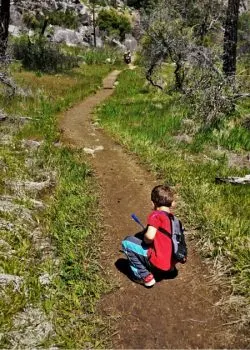 LittleMan using Piggyback Rider at Hetch Hetchy Yosemite National Park 2traveldads.com (1)