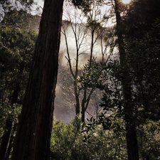 Mist-from-Bridal-Veil-Falls-in-Yosemite-National-Park-1-e1463803373577-225x225.jpg