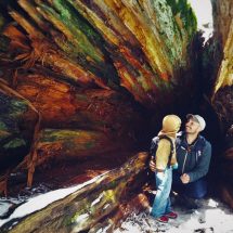 Rob Taylor and Dude in hollow log in Sequoia National Park with Kids 2traveldads.com