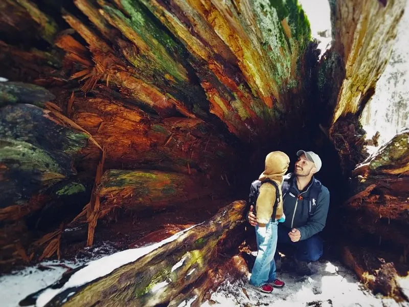 Rob Taylor and Dude in hollow log in Sequoia National Park with Kids 2traveldads.com