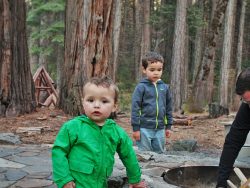 Rob-Taylor-and-Kids-by-fire-pit-at-Evergreen-Lodge-at-Yosemite-2traveldads.com_-250x188.jpg