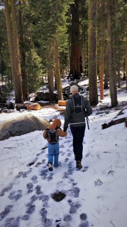 Rob-Taylor-and-LittleMan-hiking-in-Sequoia-National-Park-in-snow-5-250x444.jpg