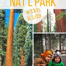 What are the sure-fire activities in Sequoia National Park with kids? Hikes and sights for any weather. 2traveldads.com