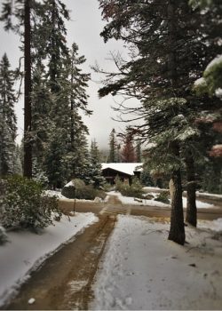 Snowy pathways at Wuksachi Lodge in Sequoia National Park 2traveldads.com