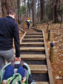 Taylor Family climbing stairs on walking path at Evergreen Lodge at Yosemite National Park 1