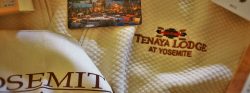 Tenaya Lodge header