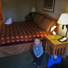TinyMany in hotel room at Wuksachi Lodge in Sequoia National Park 1