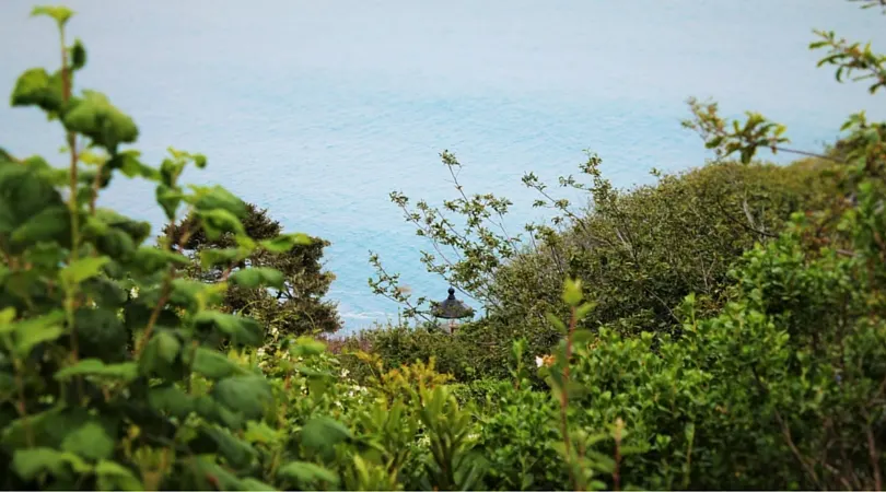 Trinidad Head Lighthouse from bluff 2traveldads.com