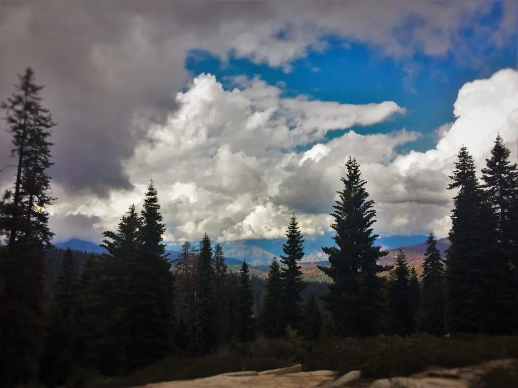 View of Kings Canyon National Park 1.jpg