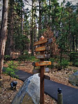 Walking path sign at Evergreen Lodge at Yosemite National Park 1