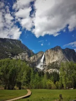 Yosemite Falls from tram tour of Yosemite Valley Floor in Yosemite National Park 1