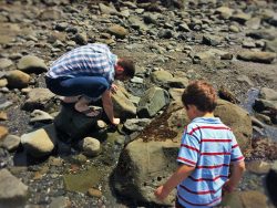 Chris Taylor and LittleMan at tide pools at Battery Point Lighthouse Crescent City 1