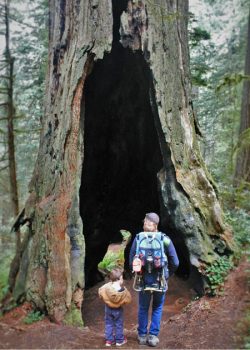 Chris Taylor and kids with burned out tree in Redwood National Park California 2traveldads.com