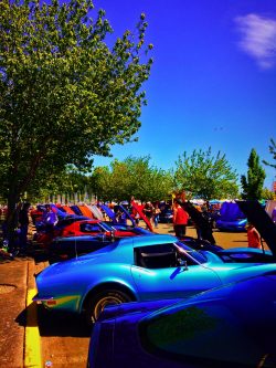 Corvette Show Anacortes Waterfront Festival 1