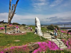 Driftwood Whale at Battery Point Lighthouse Crescent City 1