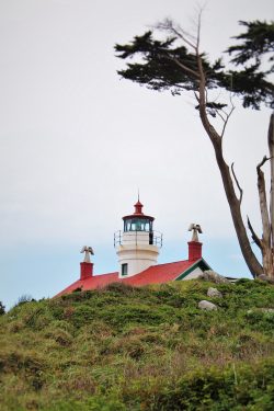 Fog at Battery Point Lighthouse Crescent City 1