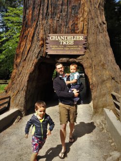 Taylor family at drive through redwood tree