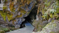 Entrance to Oregon Caves path