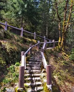 Hiking walkway at Oregon Caves National Monument