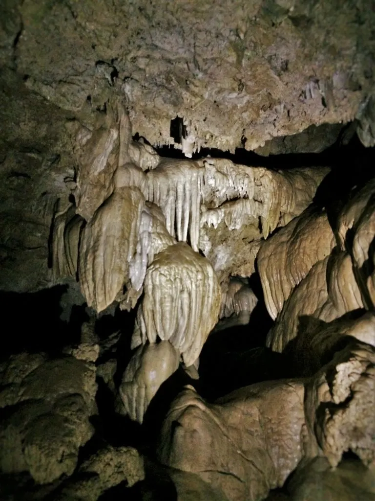 Stalactites inside Oregon Caves National Monument