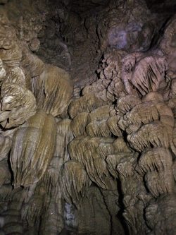 Stalactites inside Oregon Caves National Monument