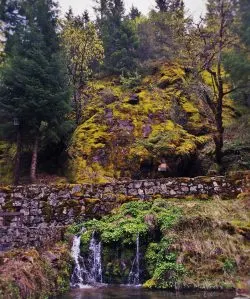 Cave Creek waterfall at Oregon Caves National Monument