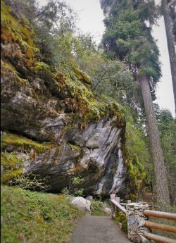 Hiking walkway at Oregon Caves National Monument
