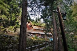 Visitors Center and Trees at Oregon