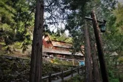 Visitors Center and Trees at Oregon