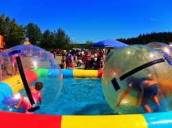 Kids in hamster balls at Anacortes Waterfront Festival 1
