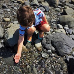 LittleMan at Tide pools at Battery Point Lighthouse Crescent City 2