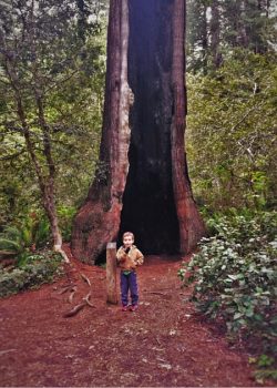 LittleMan with burned out tree in Redwood National Park California 2traveldads.com