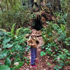 Looking for gnomes in Redwood National Park California 2traveldads.com