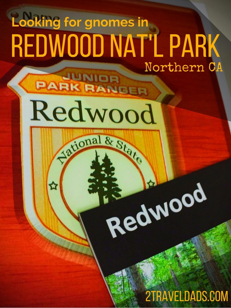 Redwood National Park is a great family destination for getting into nature and learning about the giant coastal forest. Get ideas for things to do and parts of the park to visit on your California Coast road trip.
