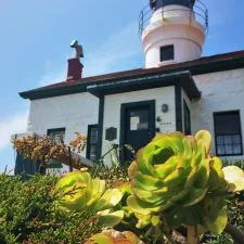 Succulents at Battery Point Lighthouse Crescent City 2