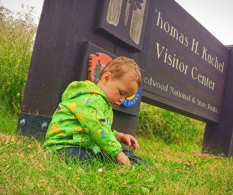 TinyMan at Visitors Center in Redwood National Park California 2traveldads.com (1)