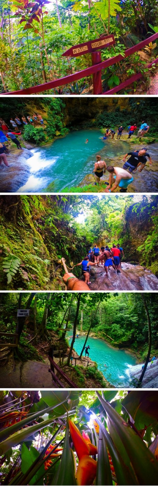 Jumping off waterfalls at the Blue Hole in Ocho Rios, Jamaica is an awesome jungle experience. 2traveldads.com