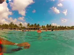 Snorkeling in Akumal 2