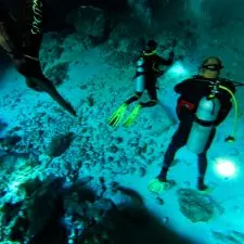 Divers Cenotes Dos Ojos Playa Del Carmen Mexico