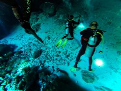 Divers Cenotes Dos Ojos Playa Del Carmen Mexico