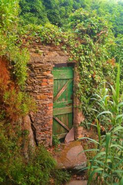 Hidden Doorway Cinqe Terre Italy 1e