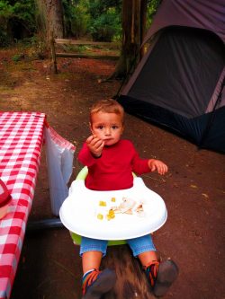 LittleMan Camping at Washington Park Anacortes 1